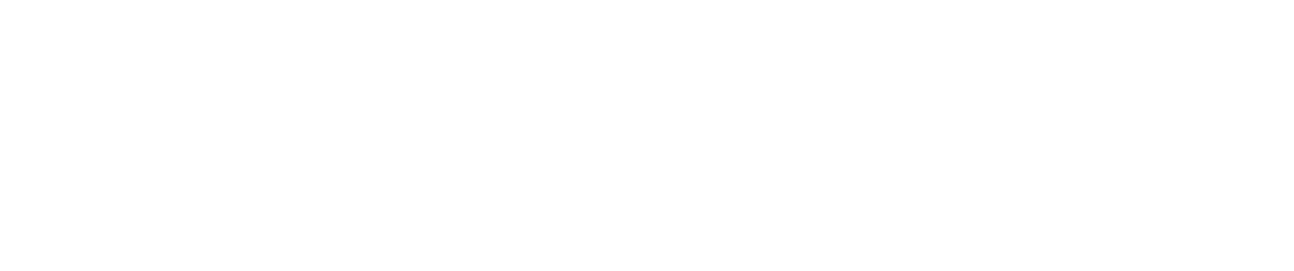 Europe for Citizens (EFC)