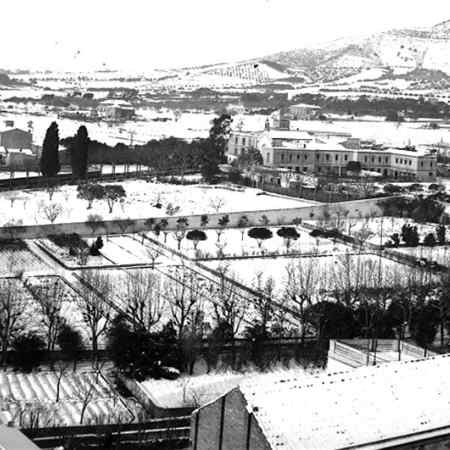 Nevada a Barcelona, 15 i 16 de gener de 1914. Autor: Marià Faura. / Arxiu Fotogràfic del Museu Geològic del Seminari de Barcelona. Reproducció de Sergi Falguera Torres.