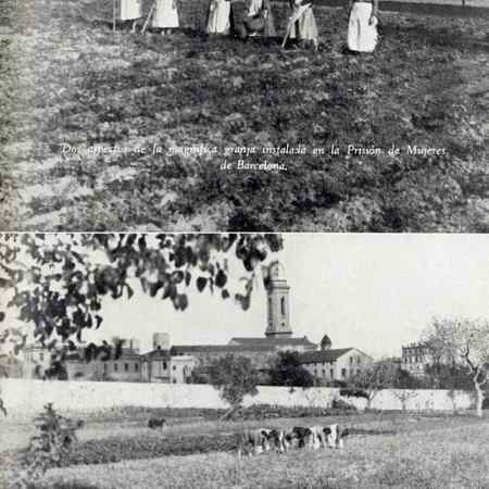 The great vegetables garden was a frequent image in the regim publications. ones del règim. Report of the Patronato Central de Nuestra Señora de la Merced para la Redención de Penas por el Trabajo (1945)